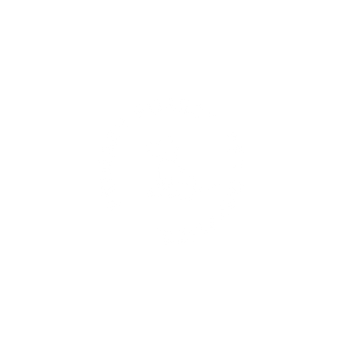 Primary Forest